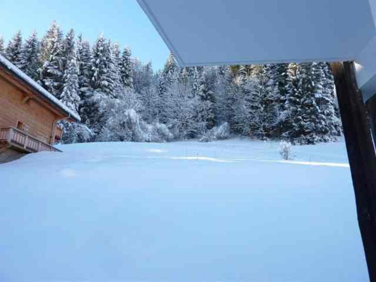 Appartement 3 Pieces Proche Centre Et Pistes, Animaux Admis, Parking Prive - Fr-1-524-34 مورزين المظهر الخارجي الصورة